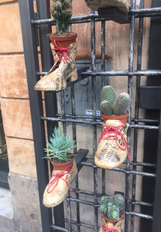roma8_cactus_shoes